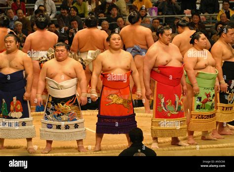 japanese sumo wrestling naked Search